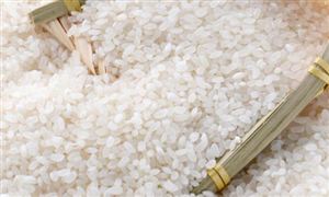 2024大米行業深度發展研究與“十四五”企業投資戰略規劃 印尼提高大米最高零售價