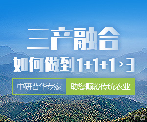 農業生產+農業加工+農業服務產業規劃